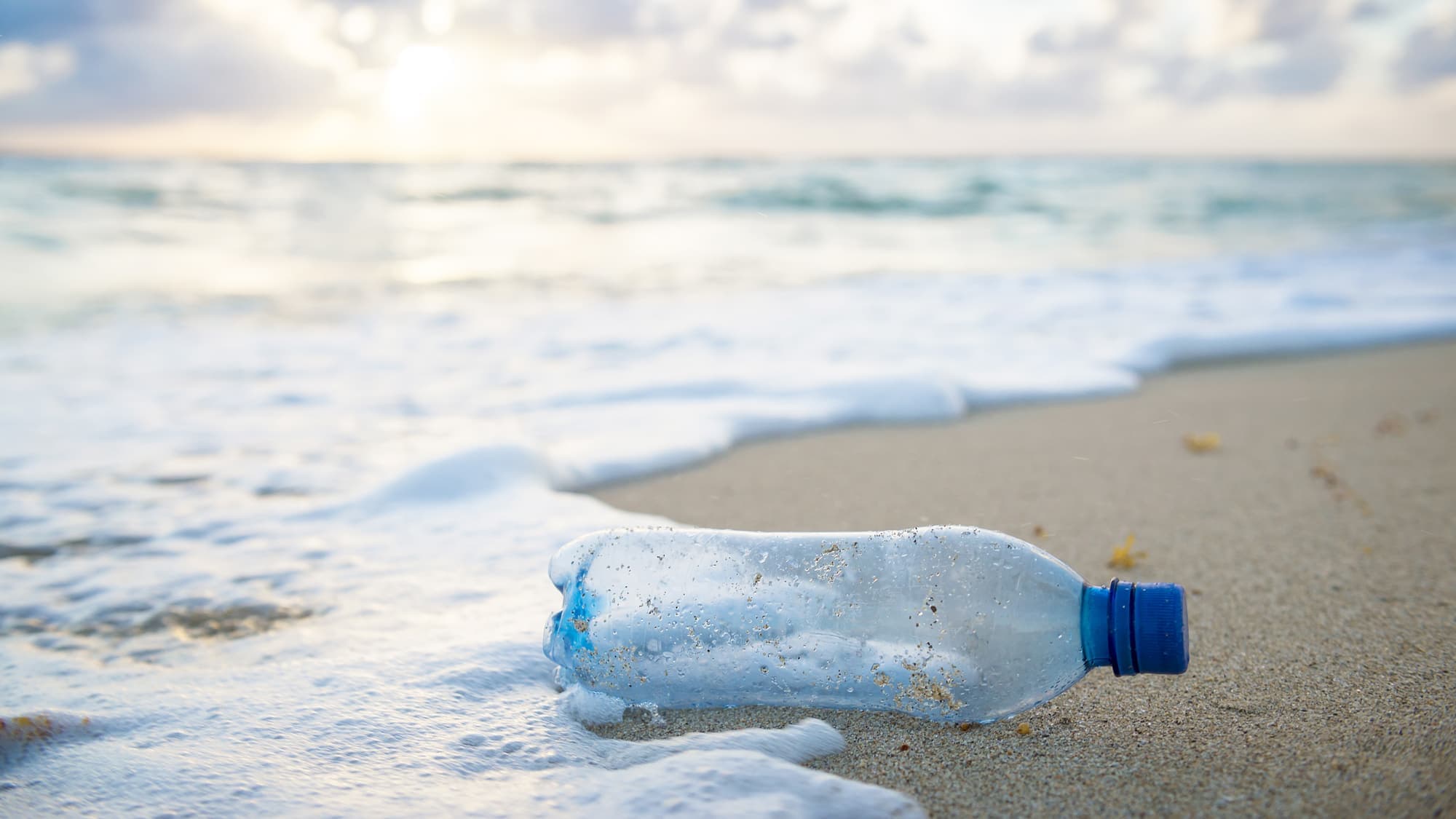 La pollution par le plastique est telle qu’un traité mondial pour l’éradiquer pourrait être signé en 2022.