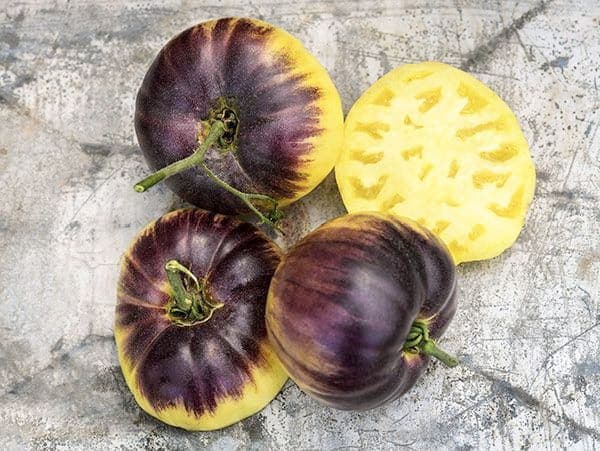 Photo courtoisie, Baker Creek Heirloom seeds