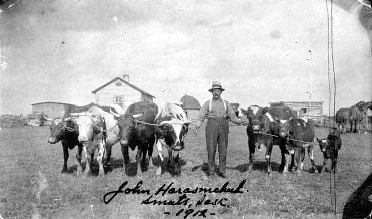 John Harasmchuk est l’un des nombreux immigrants à avoir été attiré par l’appel de l’Ouest canadien. On le voit sur sa ferme en Saskatchewan en 1912.