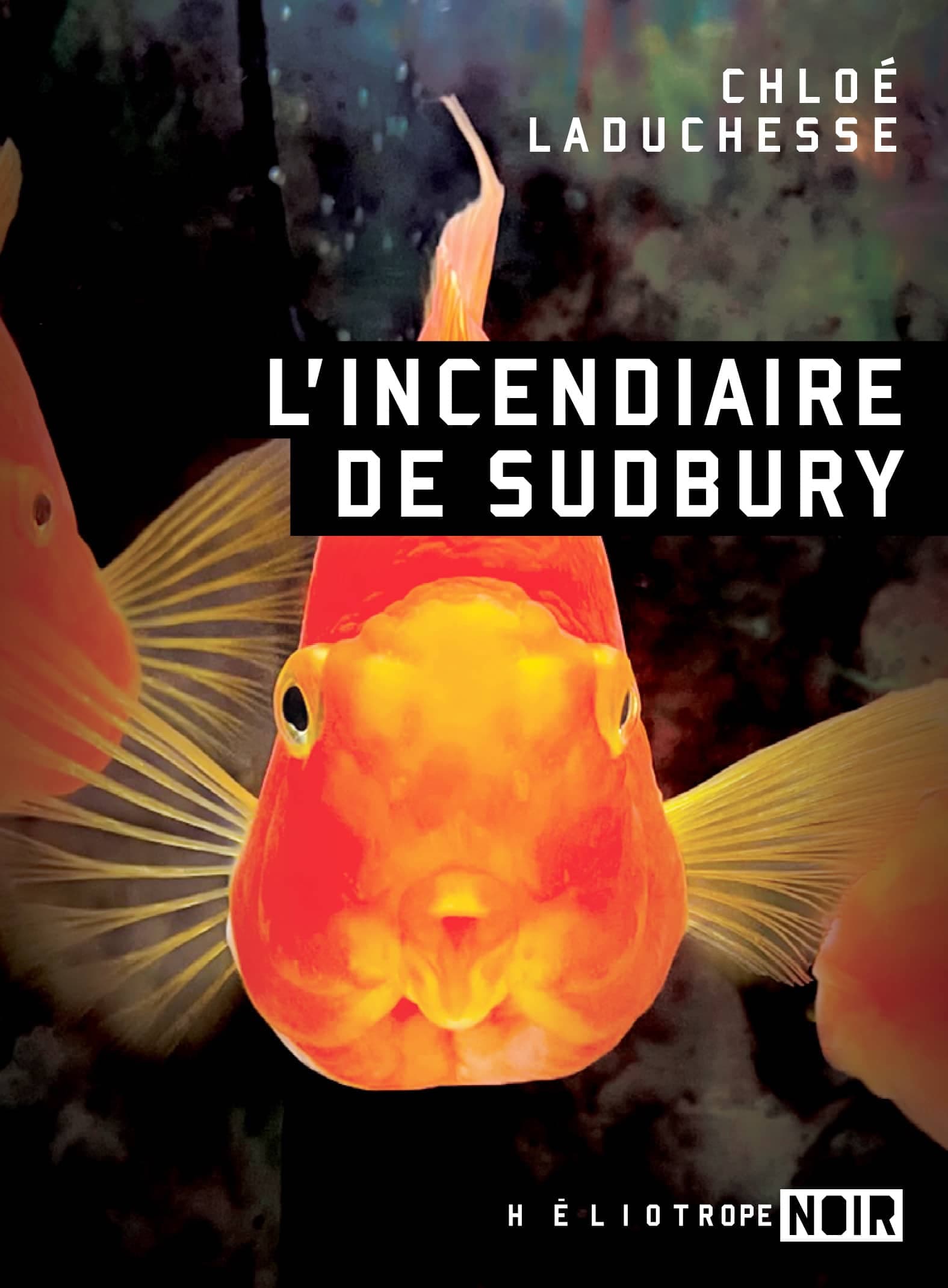 Photo courtoisie