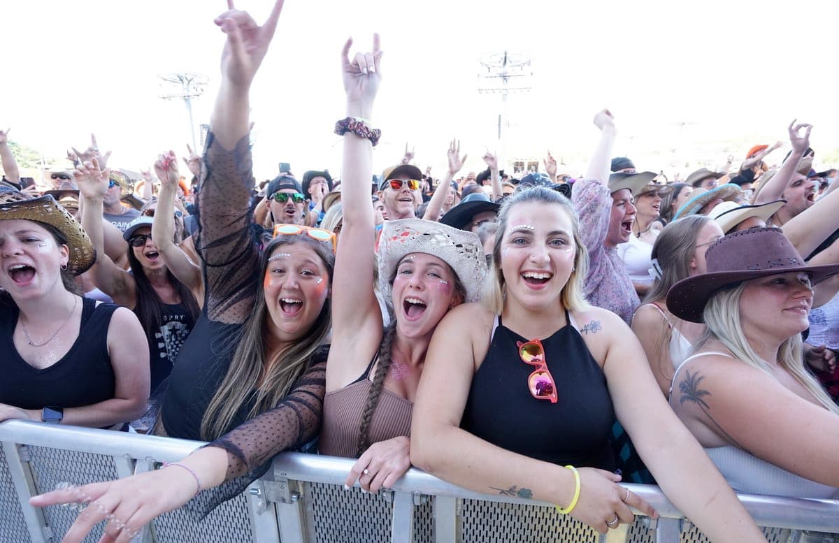 Festival Lasso