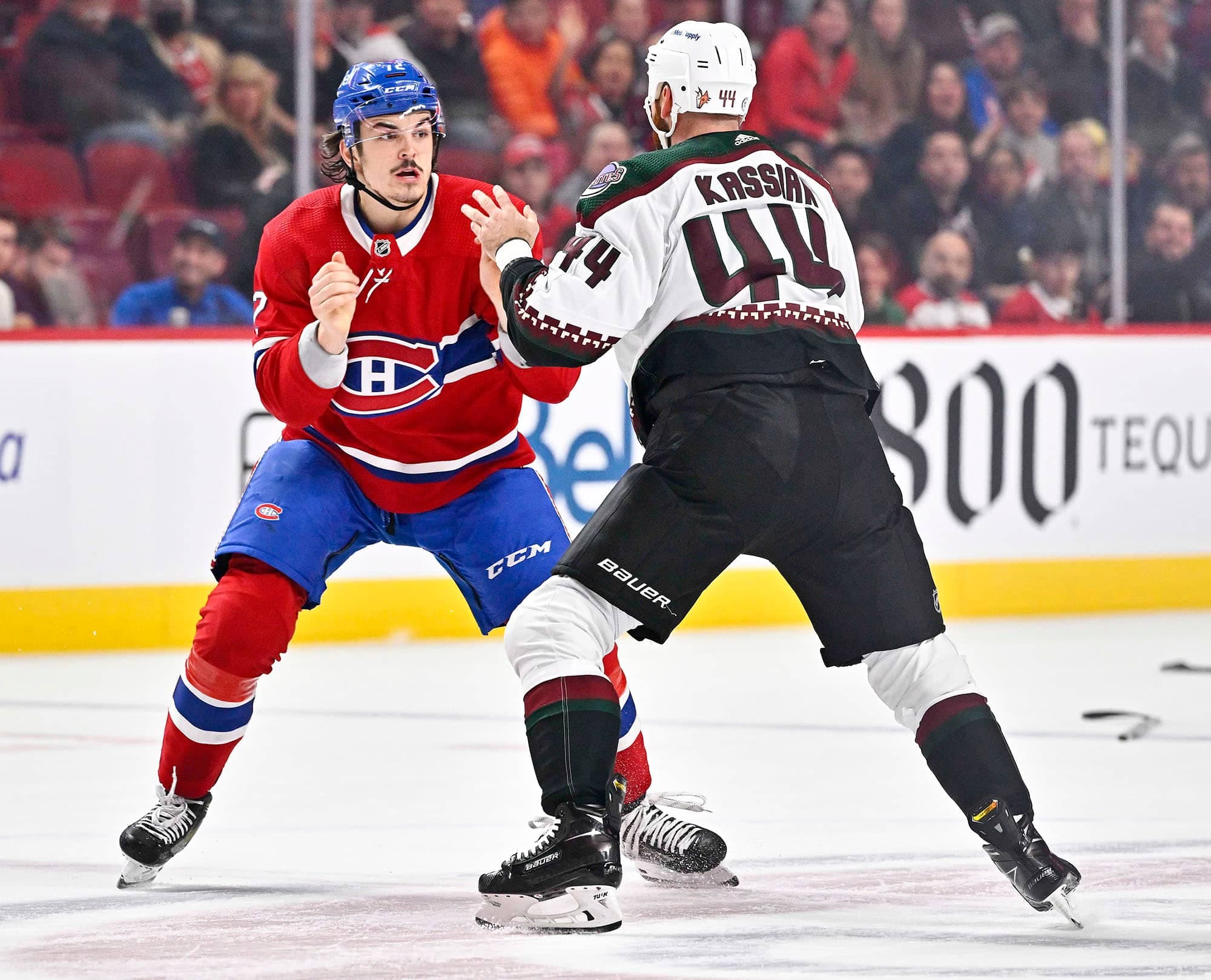 Le jeune Arber Xhekaj n’a pas eu froid aux yeux devant le vétéran Zack Kassian, des Coyotes, jeudi.