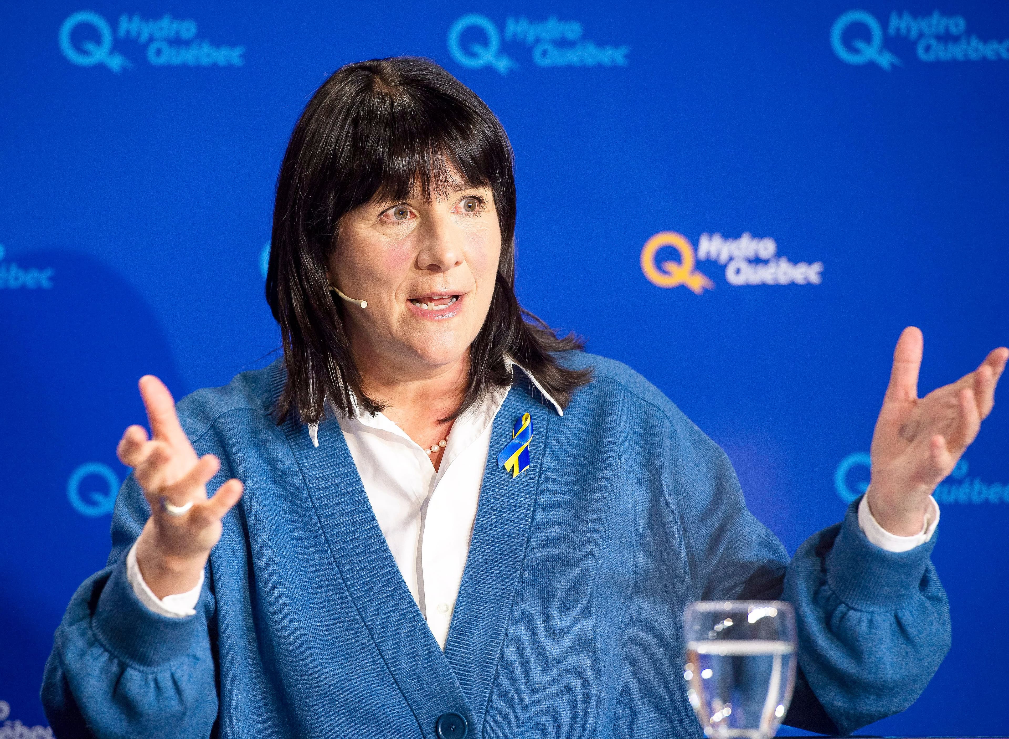 Depuis le 19 octobre dernier, et jusqu’au 18 novembre prochain, une cohorte de leaders suivent une formation préenregistrée de la PDG d’Hydro-Québec, Sophie Brochu, pour «retrouver un sentiment de clarté sur ce qui les anime».