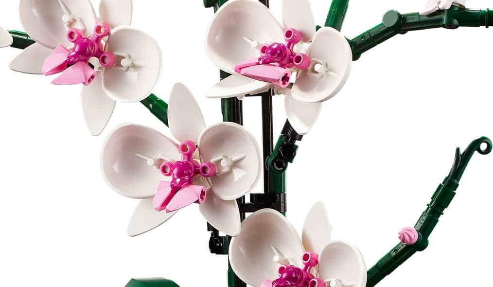 Image courtoisie LEGO