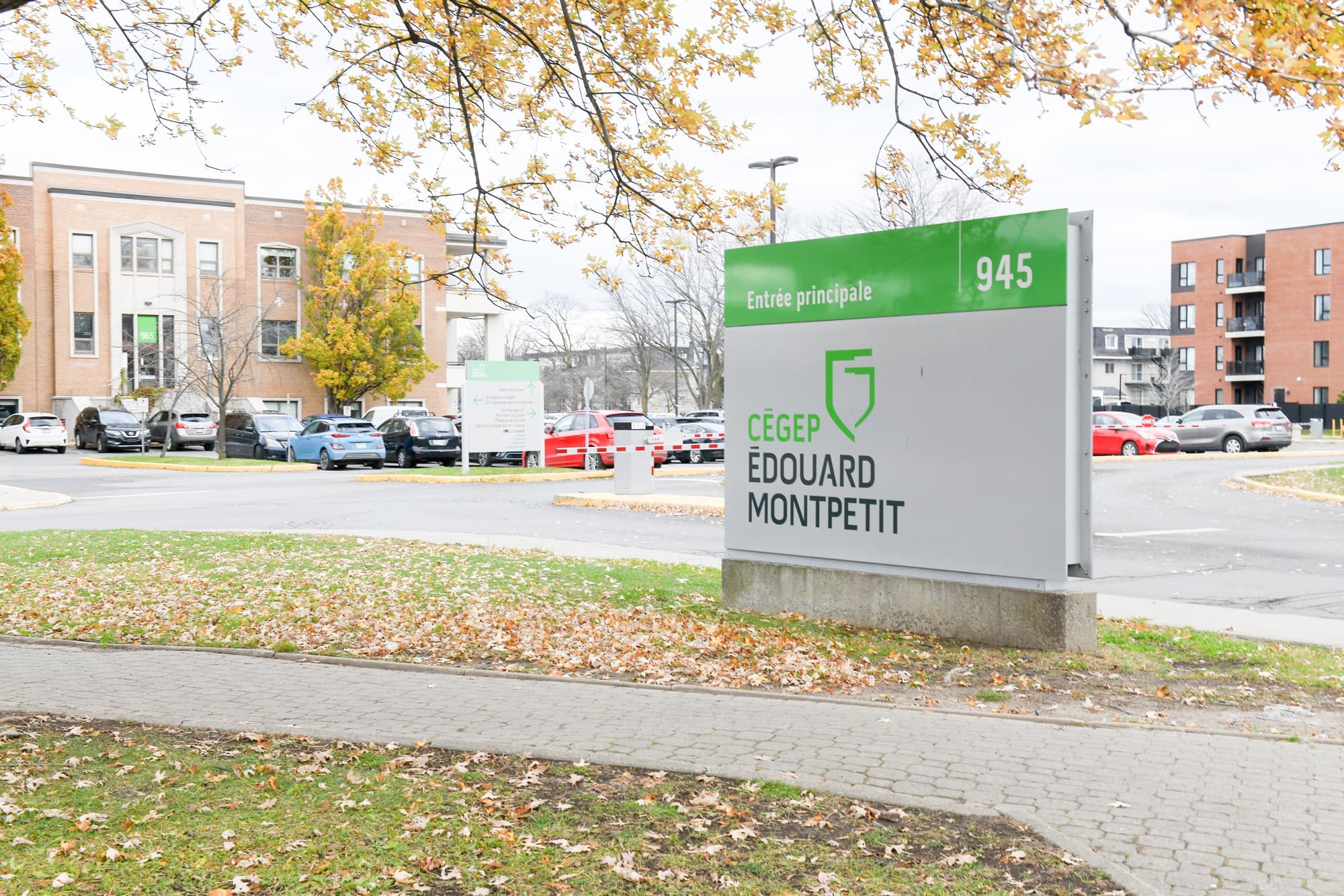 Danny Vincent a entraîné au Cégep Édouard-Montpetit à Longueuil entre 2004 et 2009.