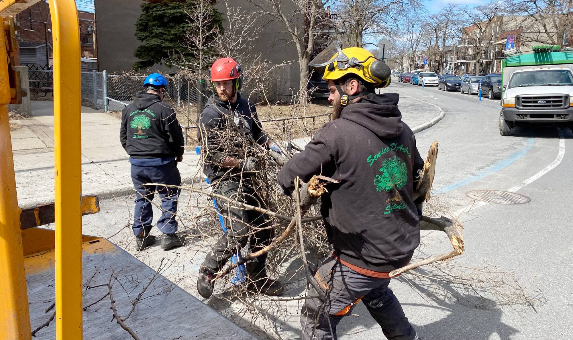 Le travail ne manque pas pour les élagueurs. De six heures le matin à la tombée de la nuit, les employés de Service d’Arbres Stéphane multiplient les interventions, souvent physiques.