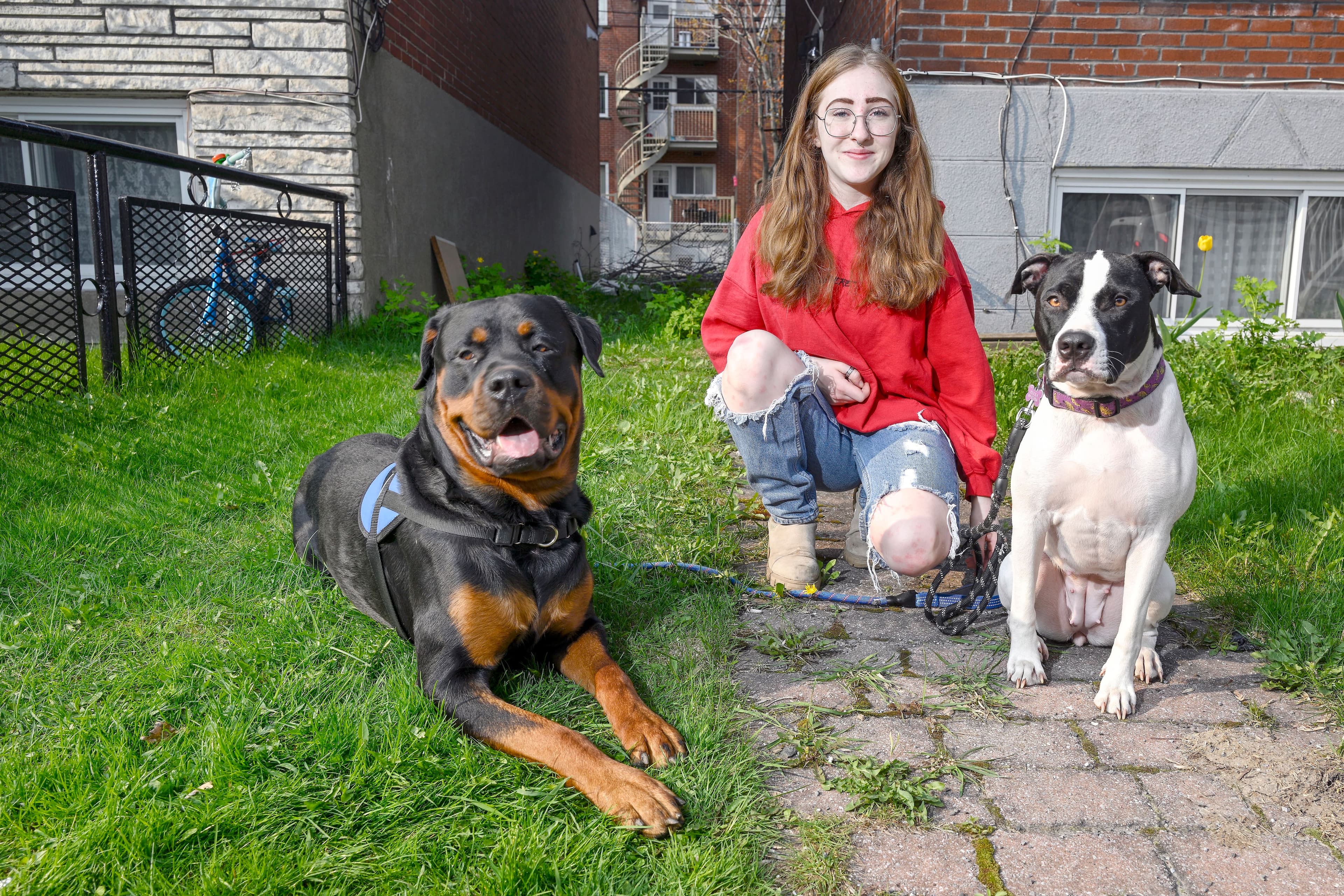 Rosalie Grand Maison, 17 ans, a beau éplucher depuis décembre les petites annonces pour se trouver un logement qui l'acceptera avec ses chiens Brutus et Bécka, il lui est impossible d'en trouver un.