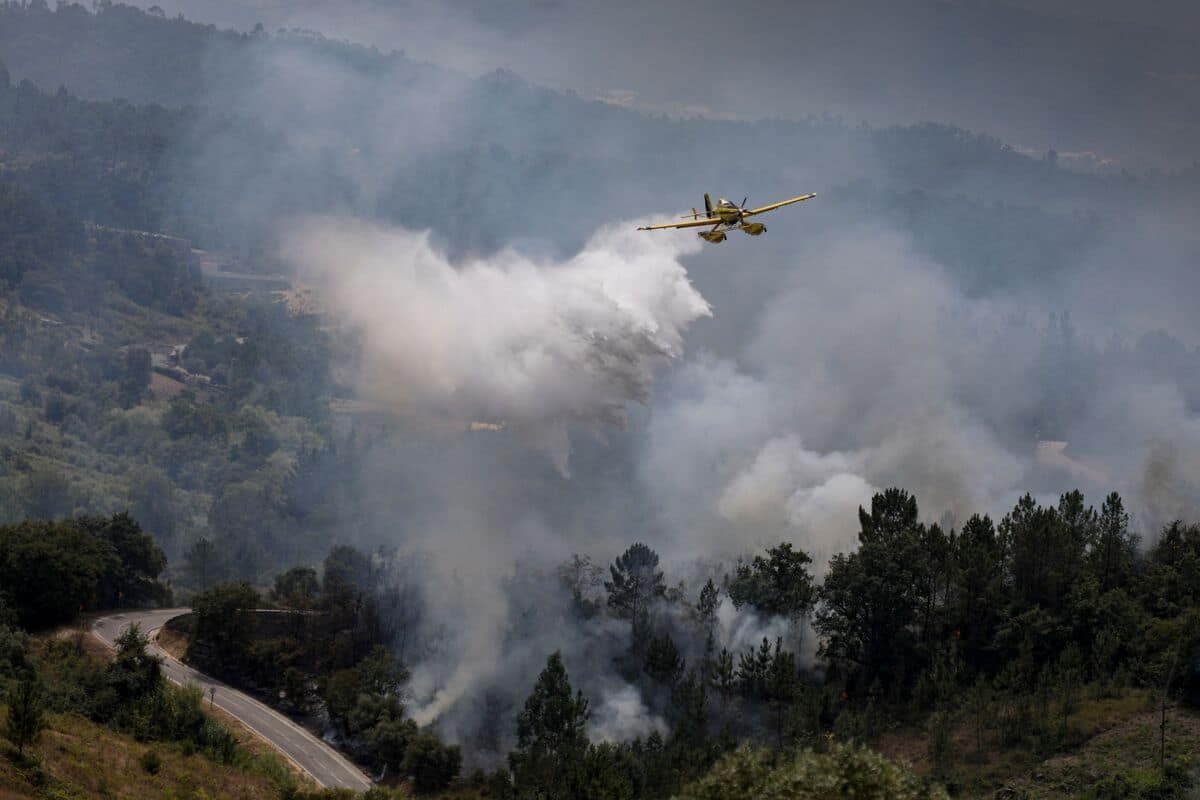 AFP
