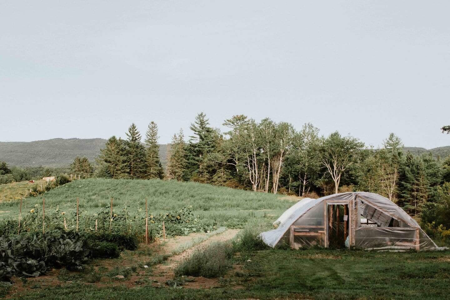 Anne-Marie / Airbnb