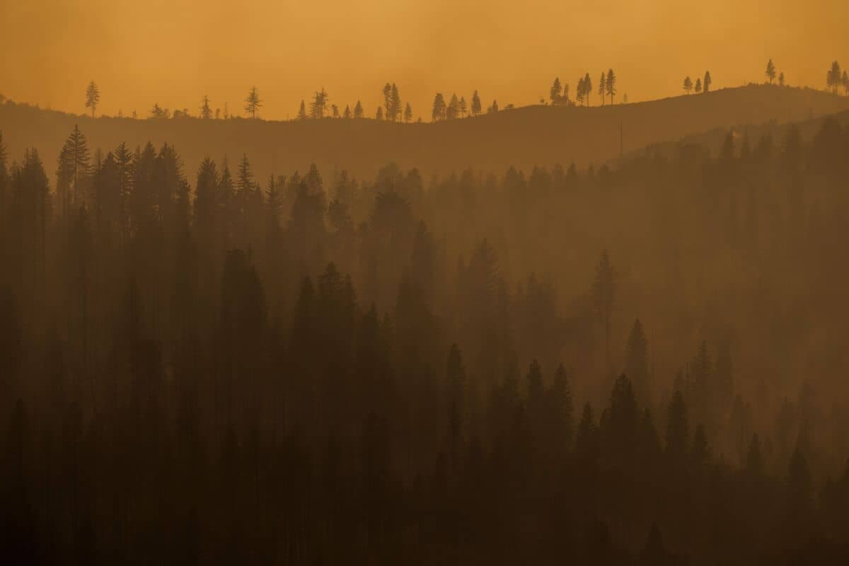 Photo prise en Californie cet été.