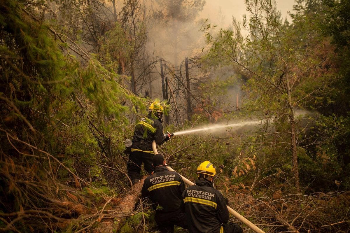 AFP