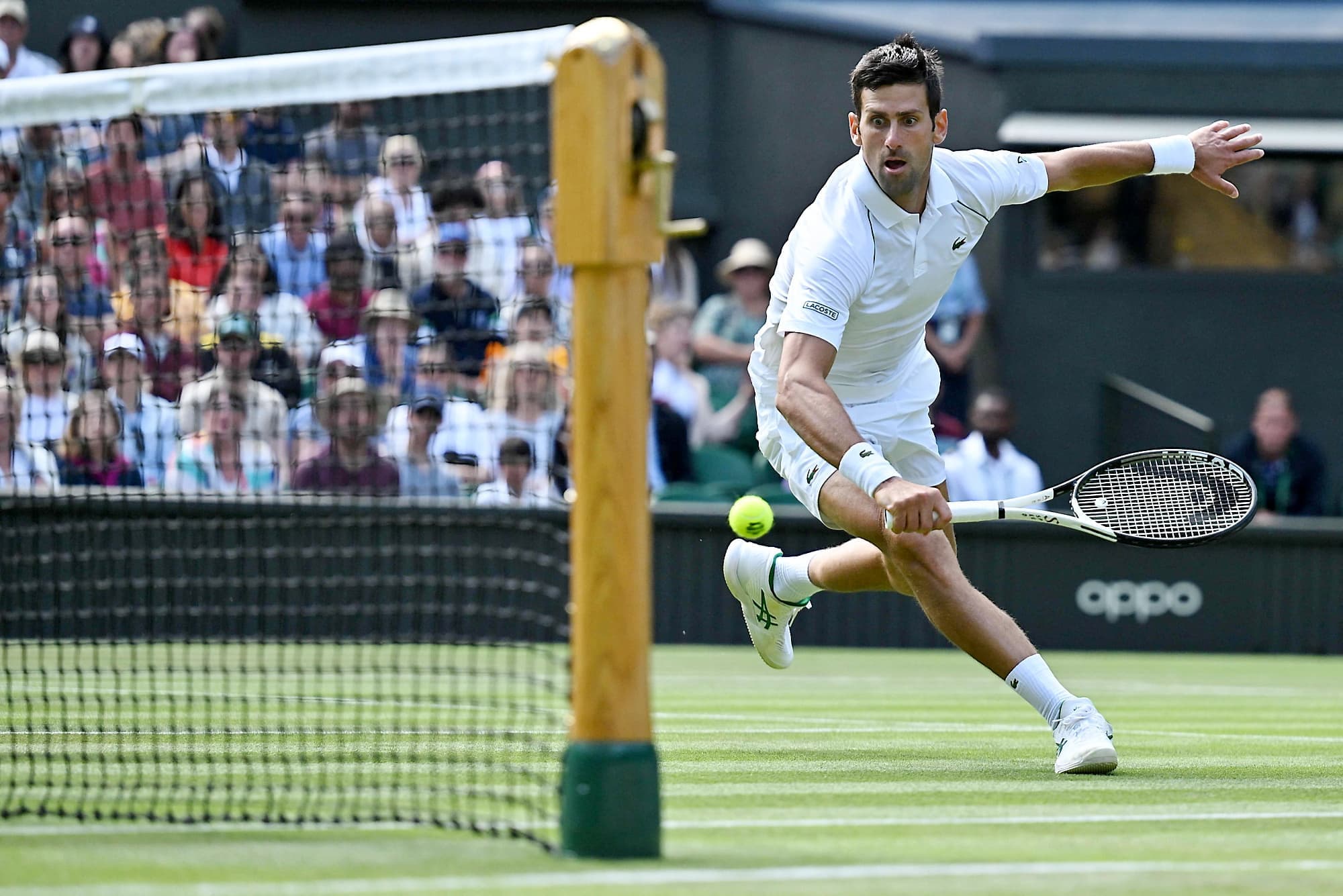 Novak Djokovic continue d’exceller sur le gazon, lui qui a vaincu vendredi son compatriote serbe Miomir Kecmanovic à Wimbledon.