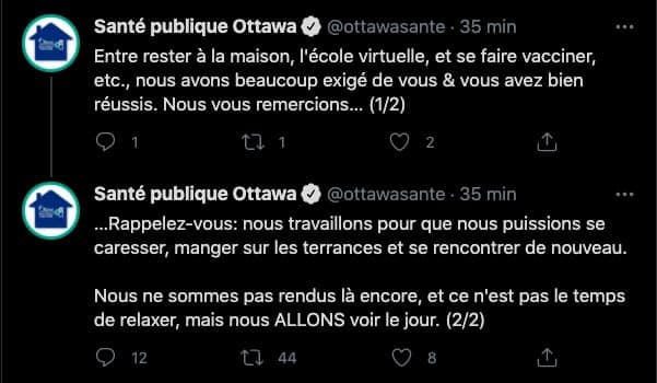 Capture d'écran / Santé publique Ottawa