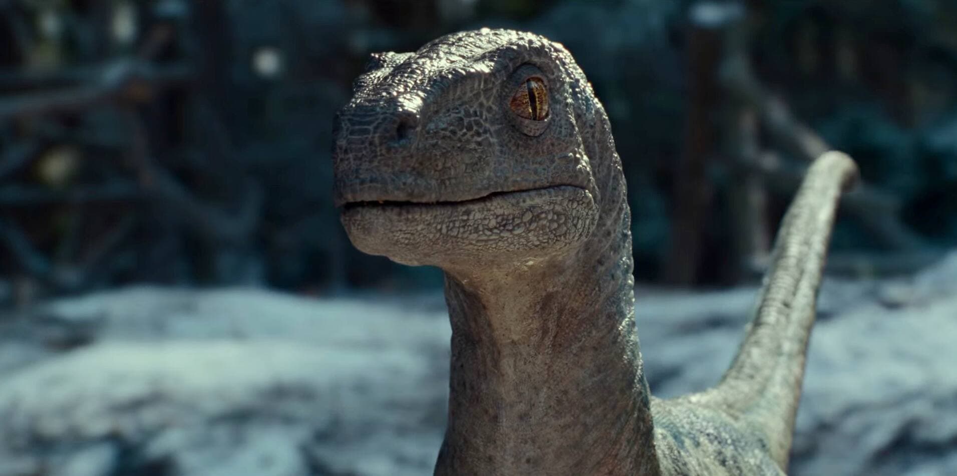Jurassic World Dominion