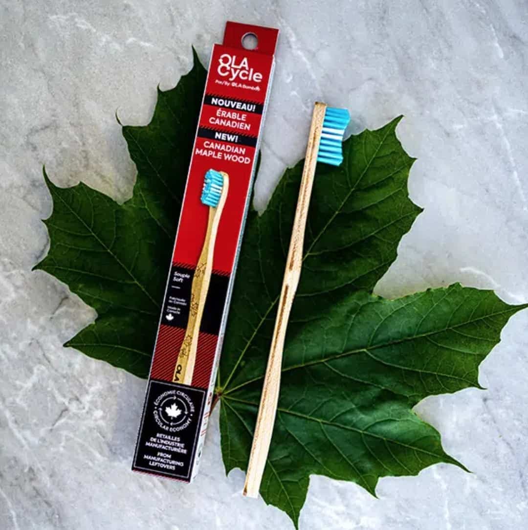 Courtoisie: OLA Bamboo