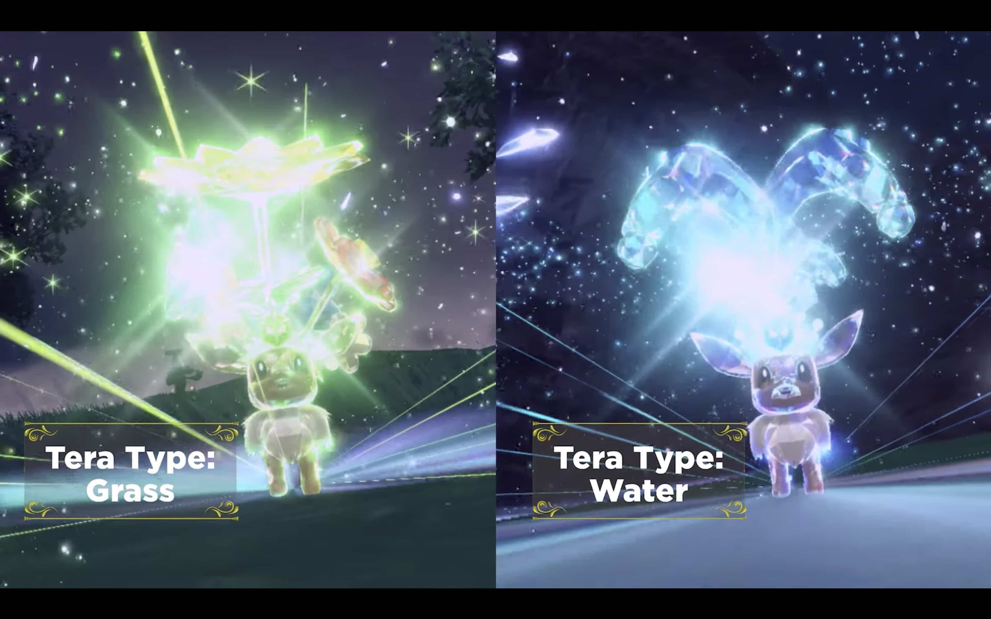 Capture d'écran Youtube/Pokémon