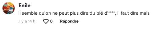 Capture d'écran / TikTok