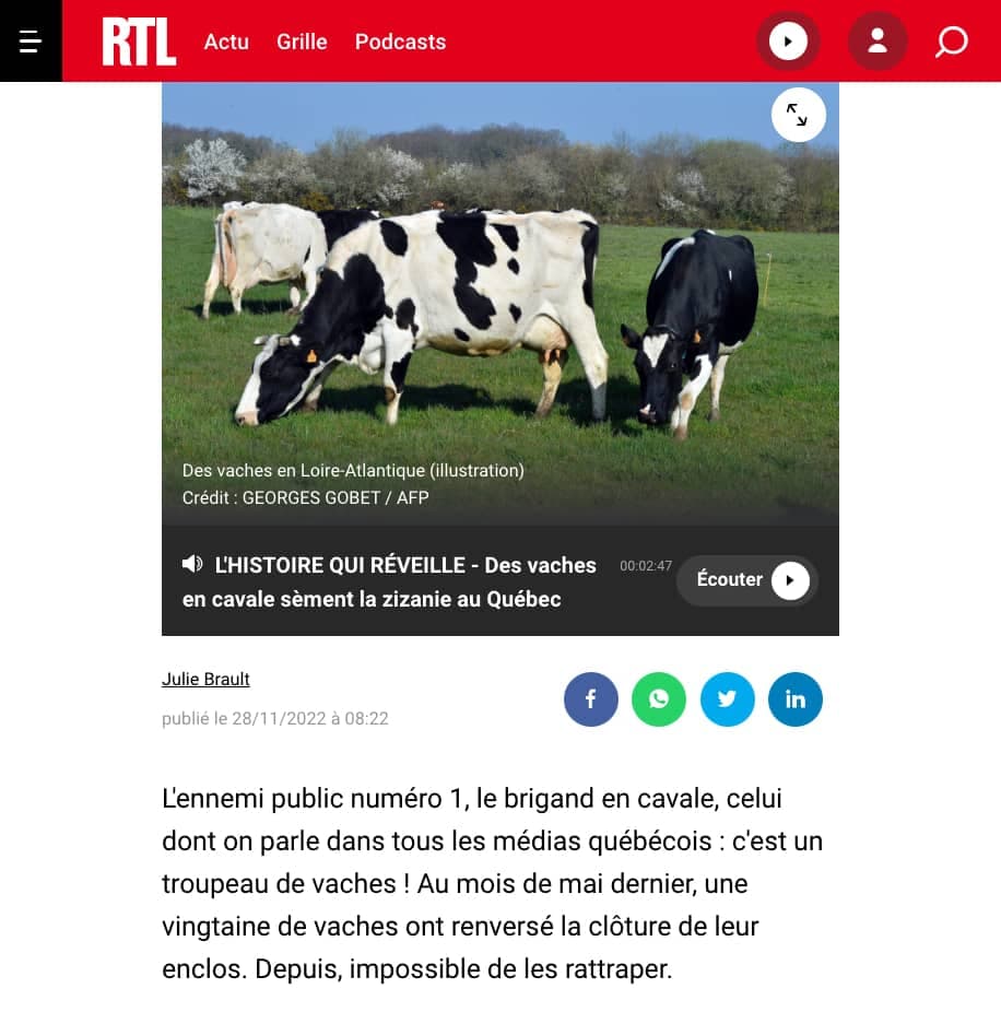 Capture d'écran (www.rtl.fr)