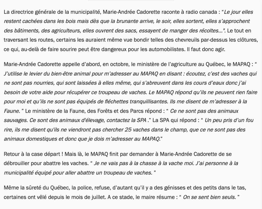 Capture d'écran (www.radiofrance.fr)