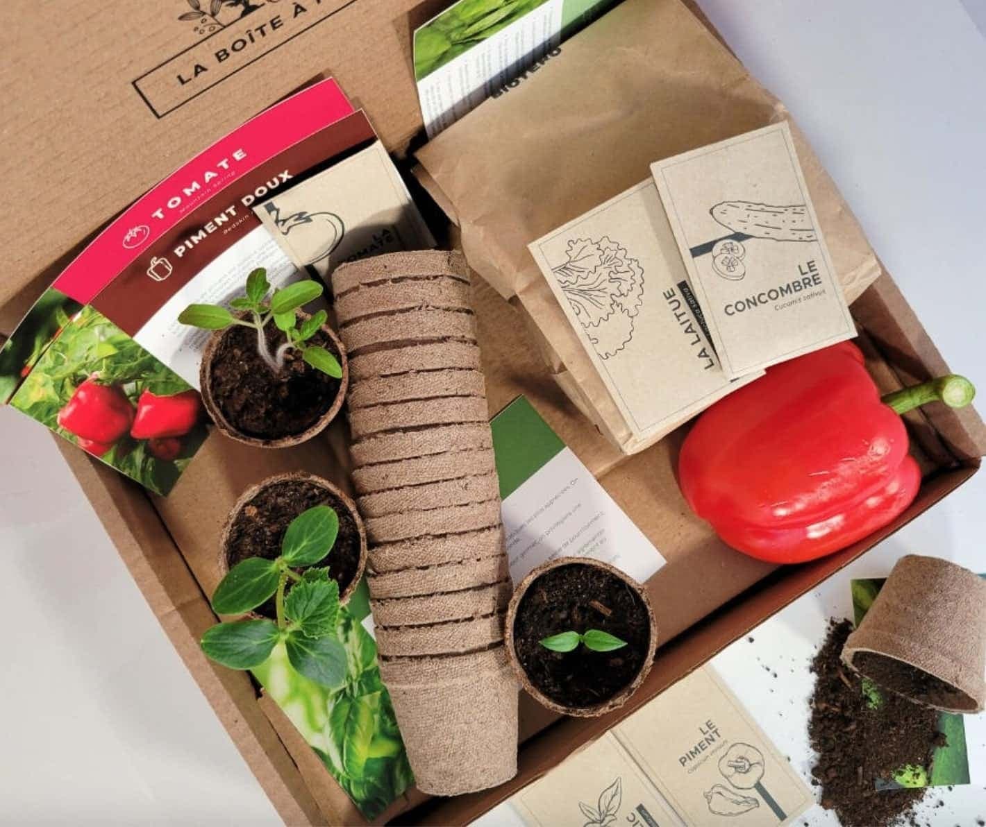 Facebook La boîte à planter