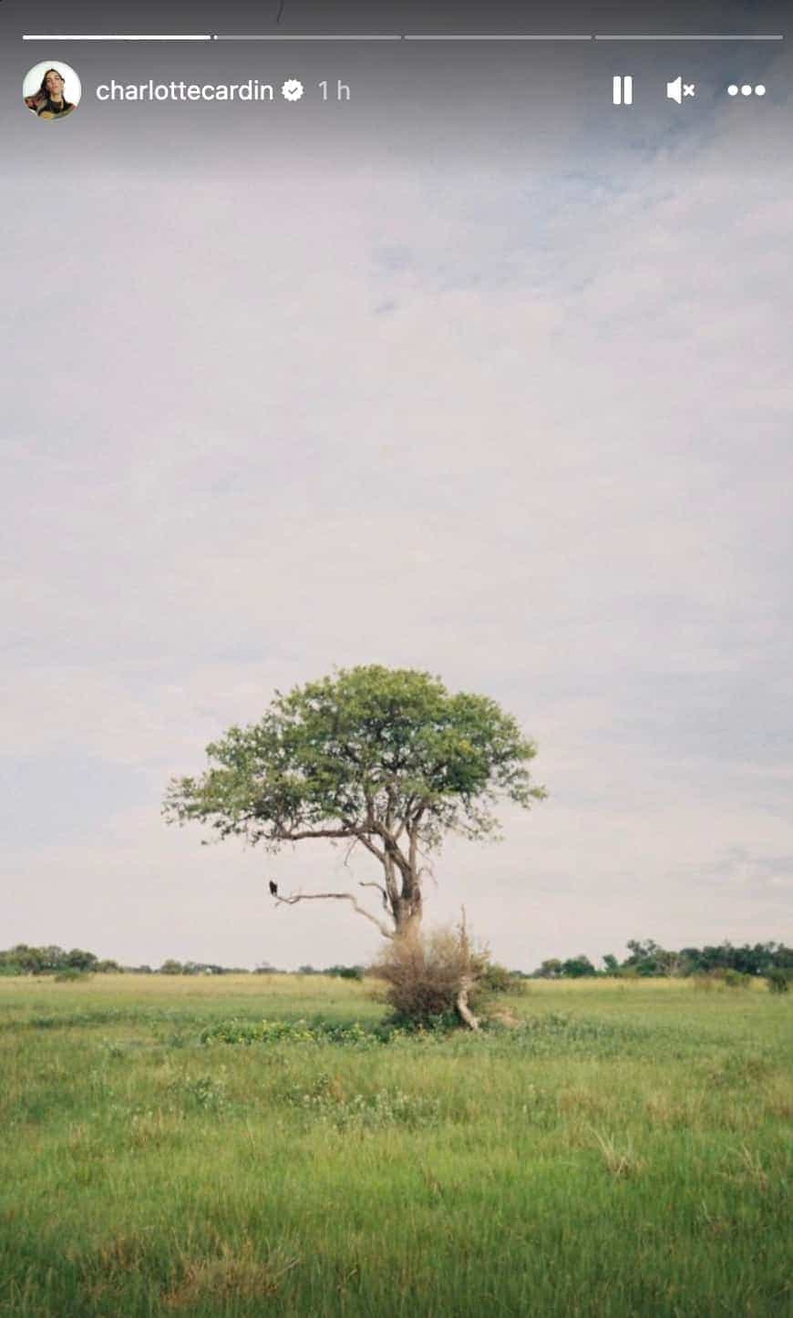 Instagram / Charlotte Cardin