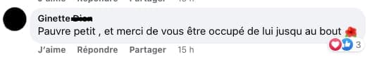 Capture d'écran tirée de Facebook
