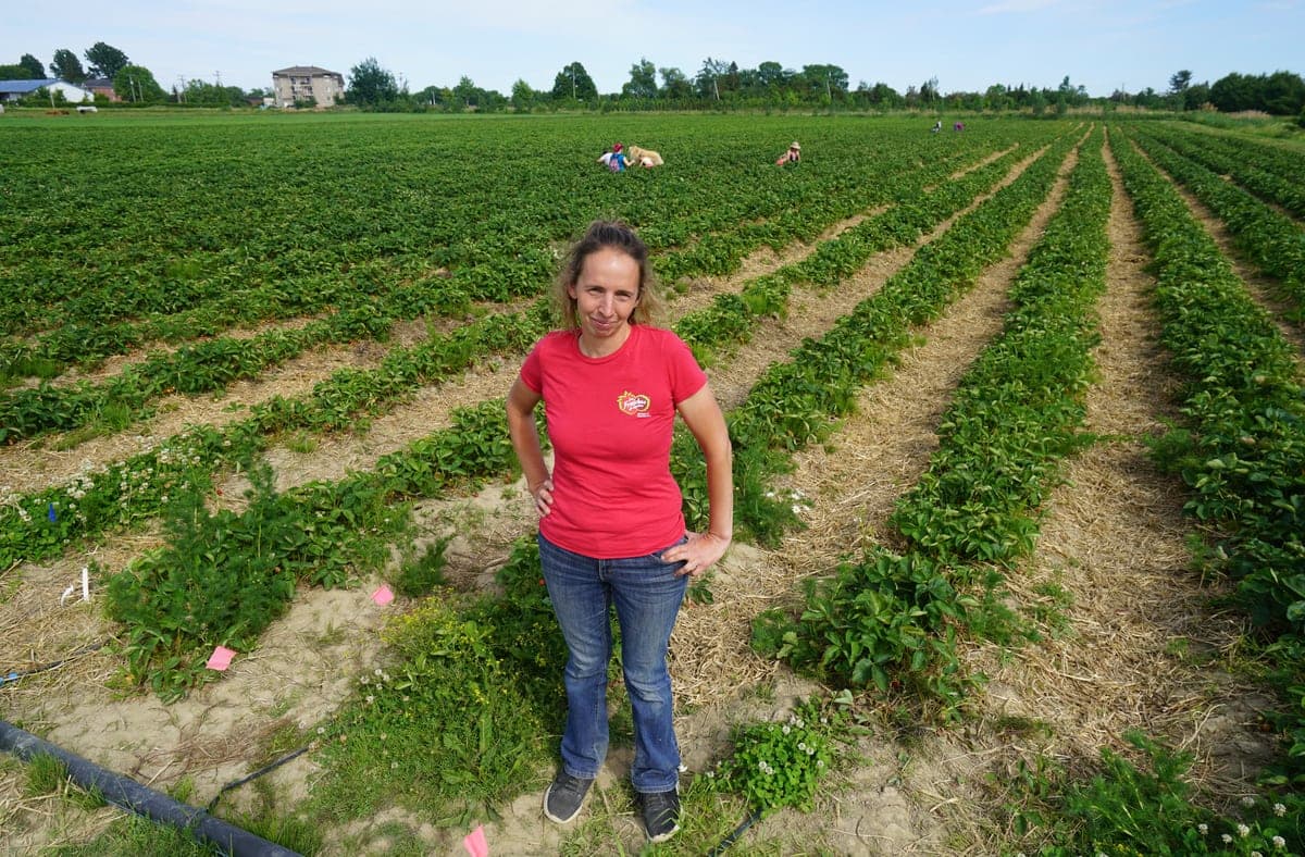 Josiane Cormier