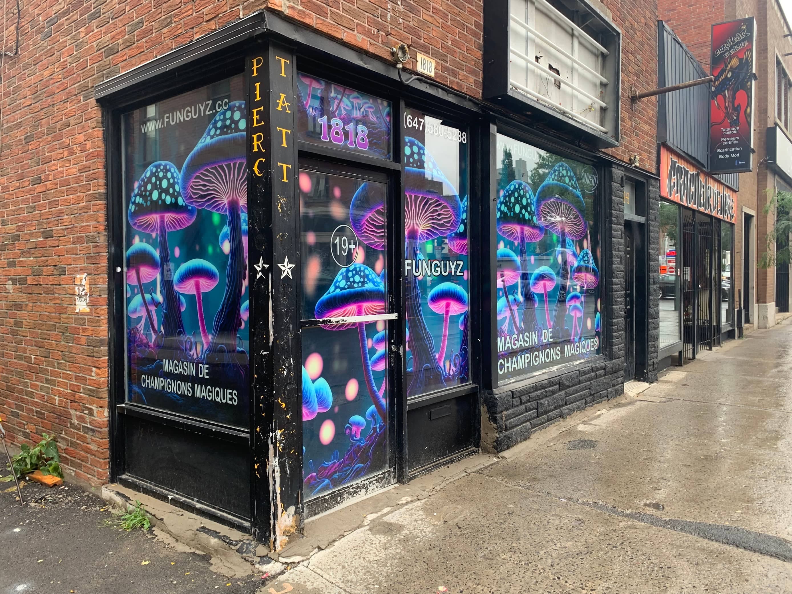 Le magasin de champignons magiques Funguyz