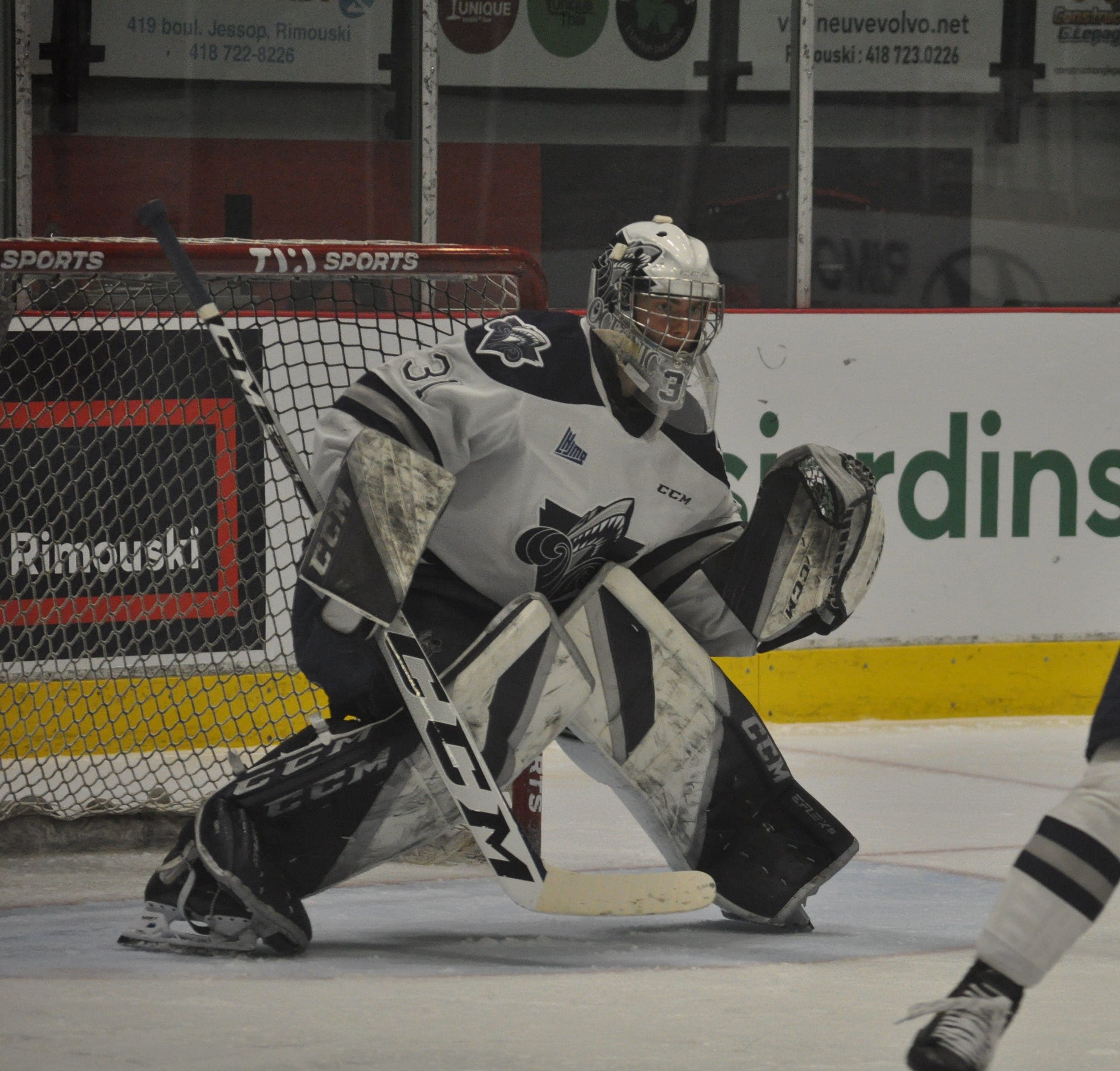 Patrik Hamrla sera le gardien partant vendredi. Il vient d’être nommé recrue par excellence du mois de mars dans la LHJMQ.