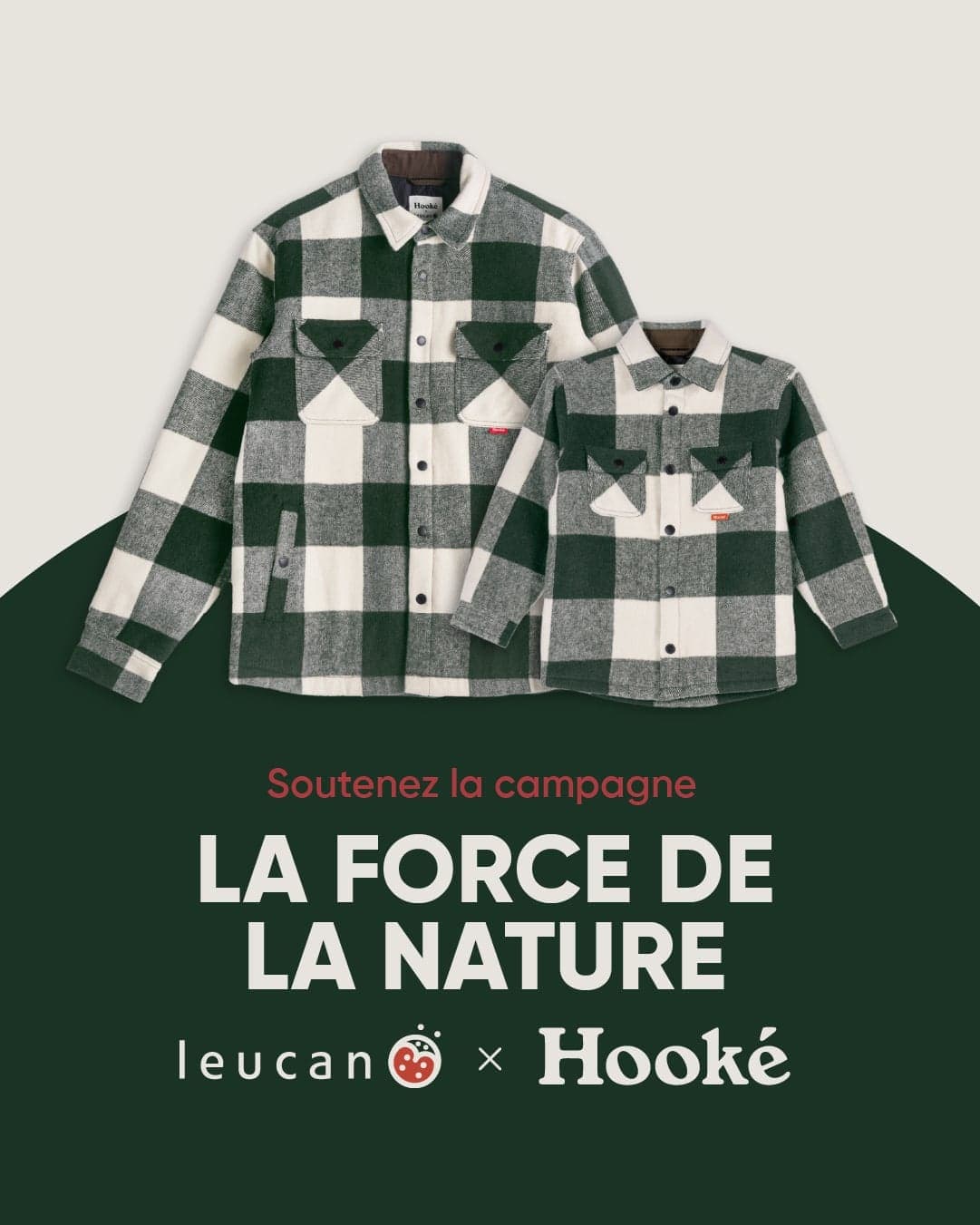 Courtoisie Hooké