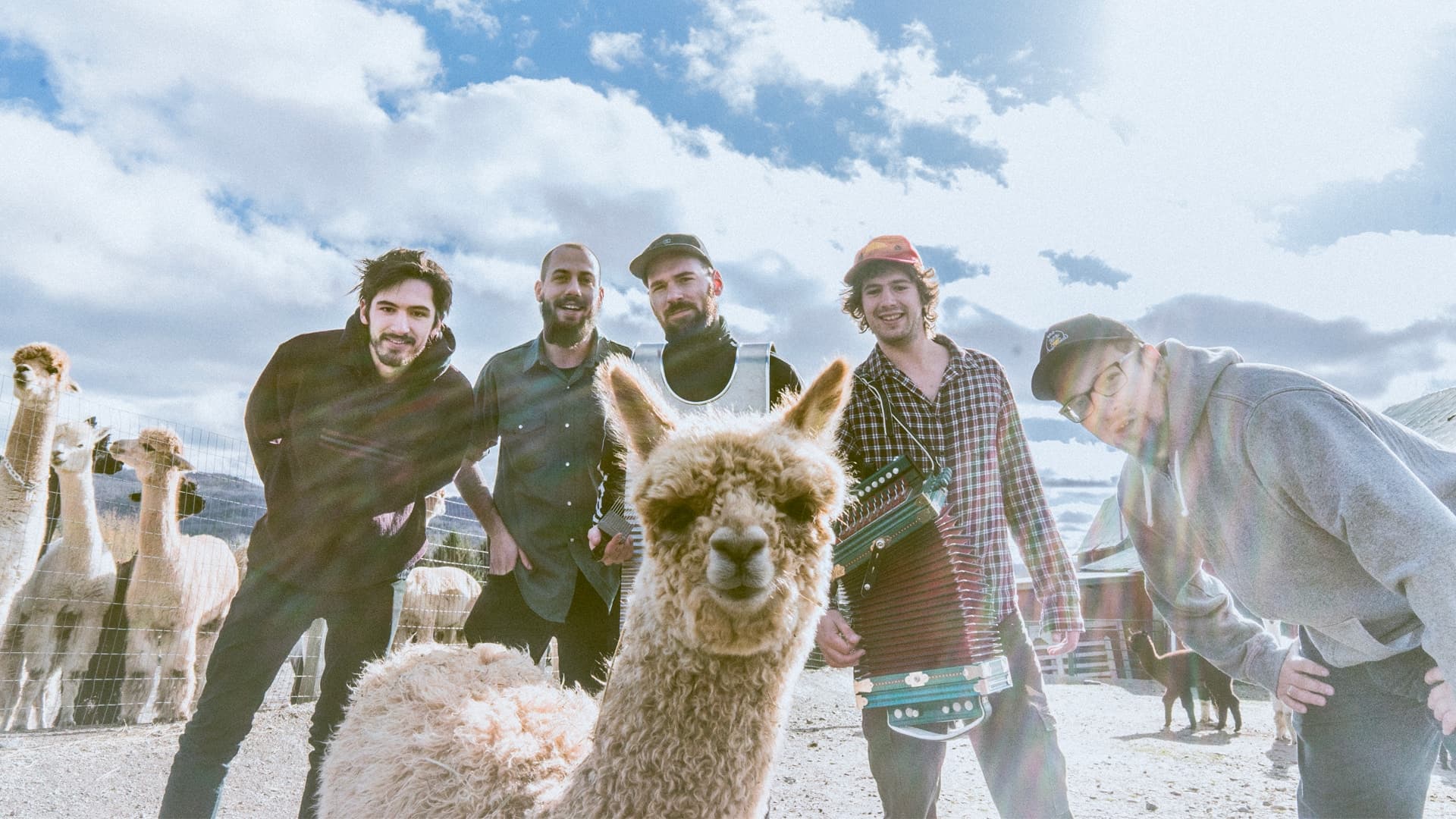Les cinq membres du Winston Band... et un lama.
