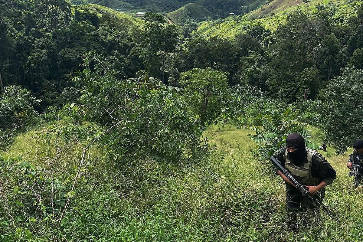 Des soldats surveillent une plantation de feuilles de coca, saisie dans la municipalité de Colon, département de Colon, au Honduras, le 29 novembre 2022.