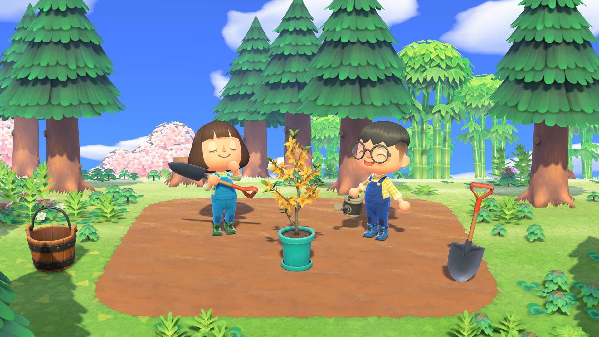 Courtoisie: Nintendo