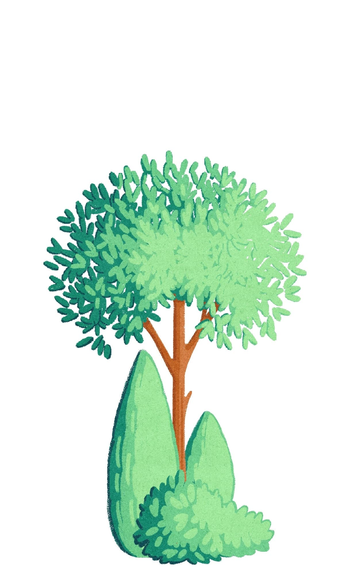 Illustration Myriam Wares