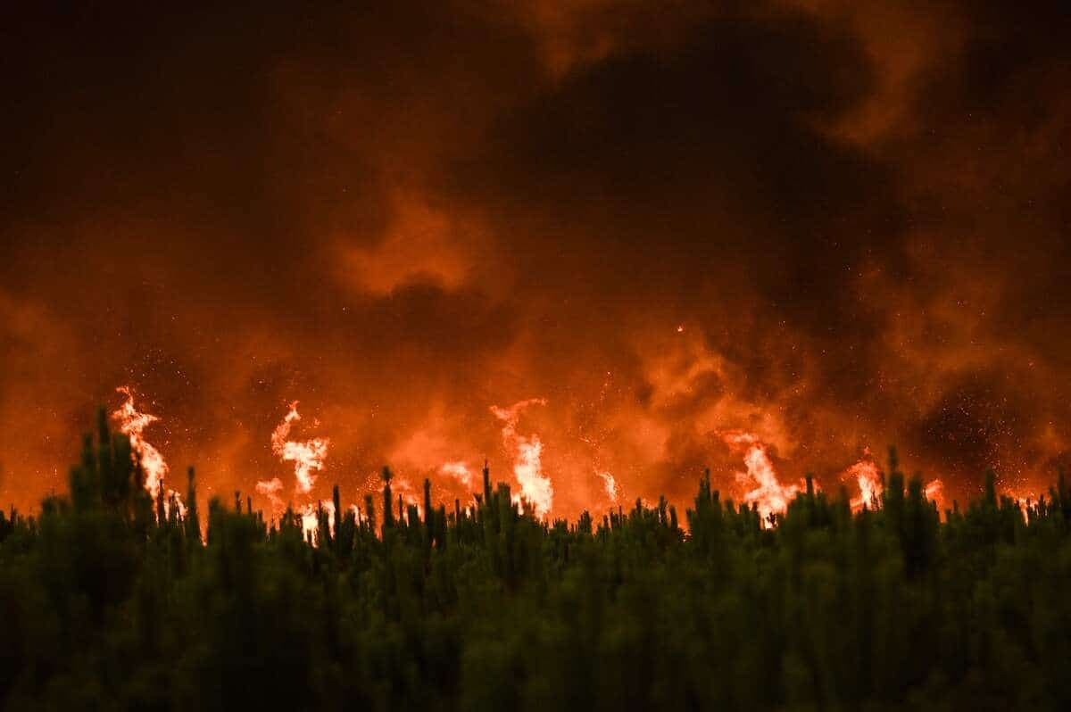 AFP