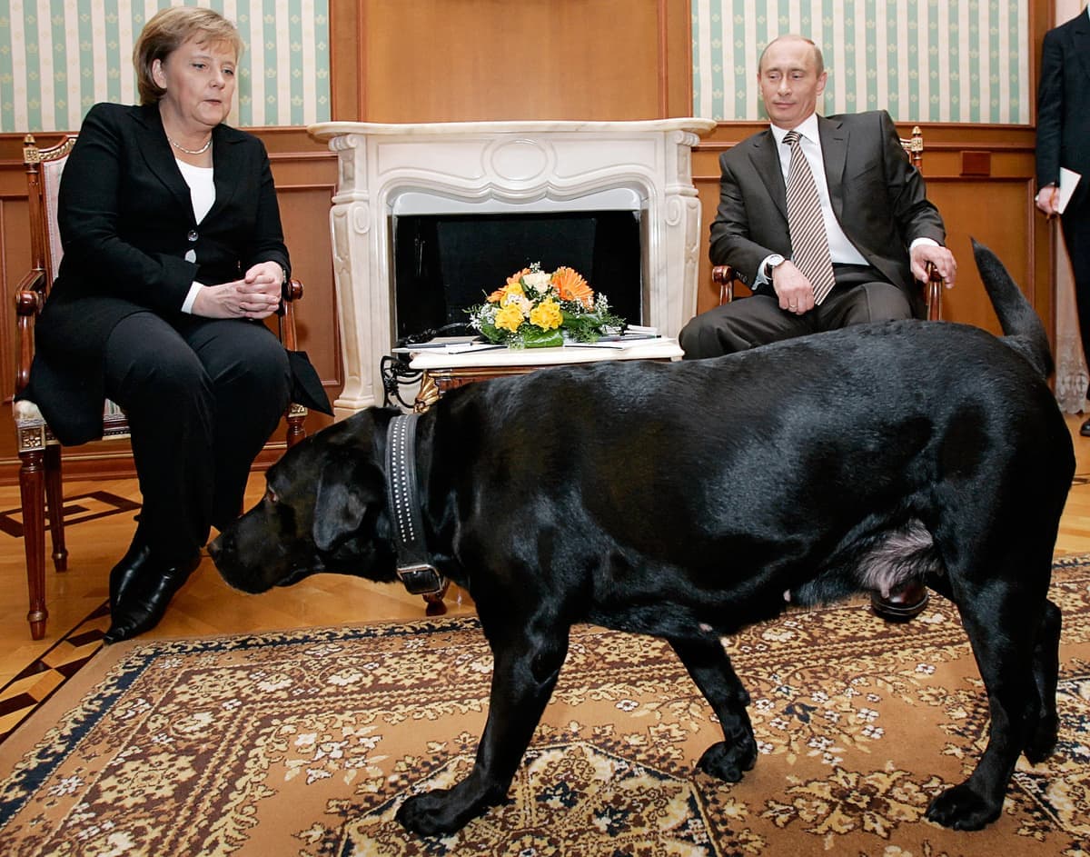 Photo d'archives, AFP