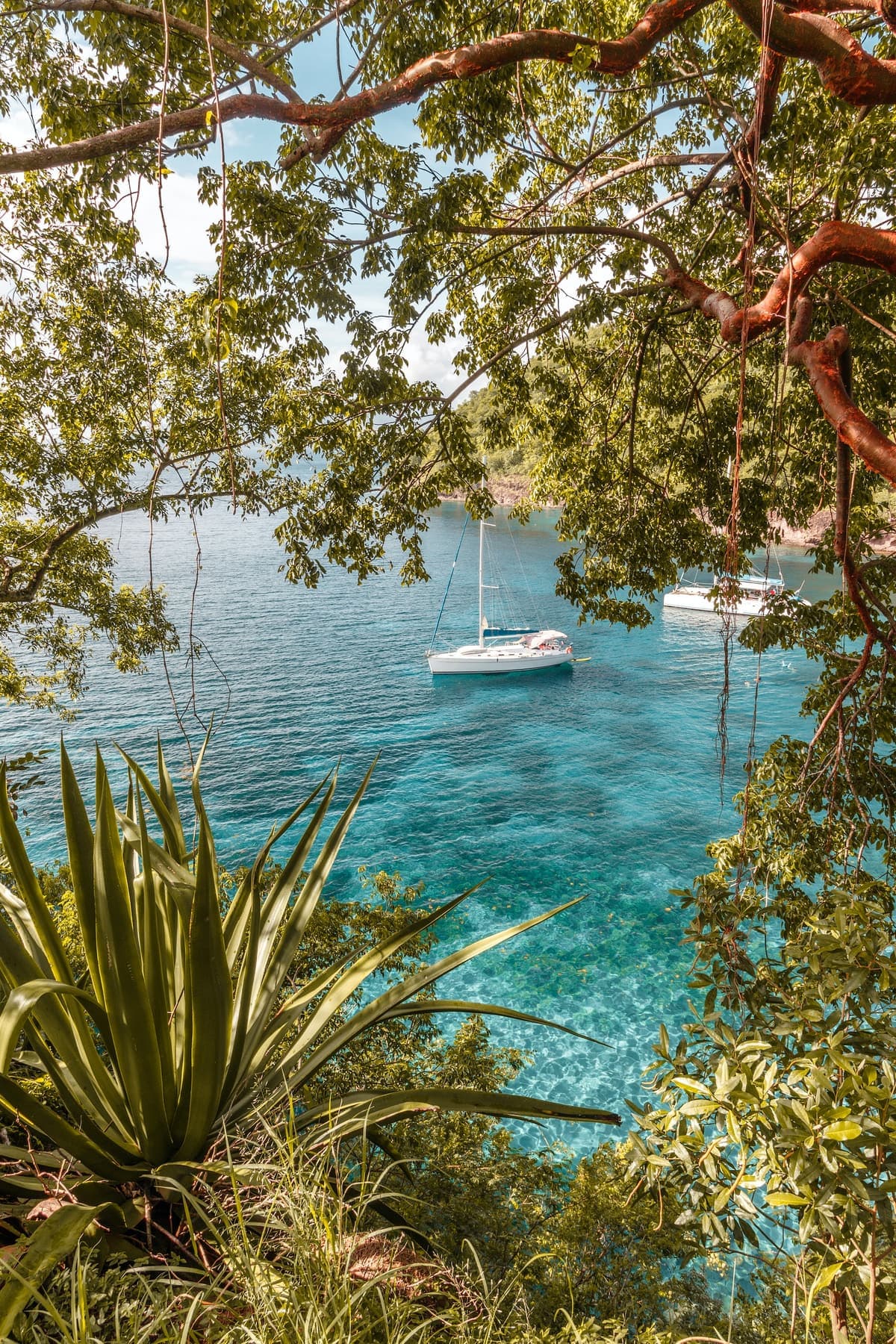 Martinique.