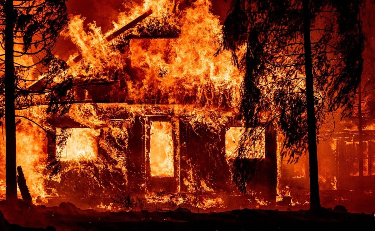Des feux de forêt font rage en Californie.