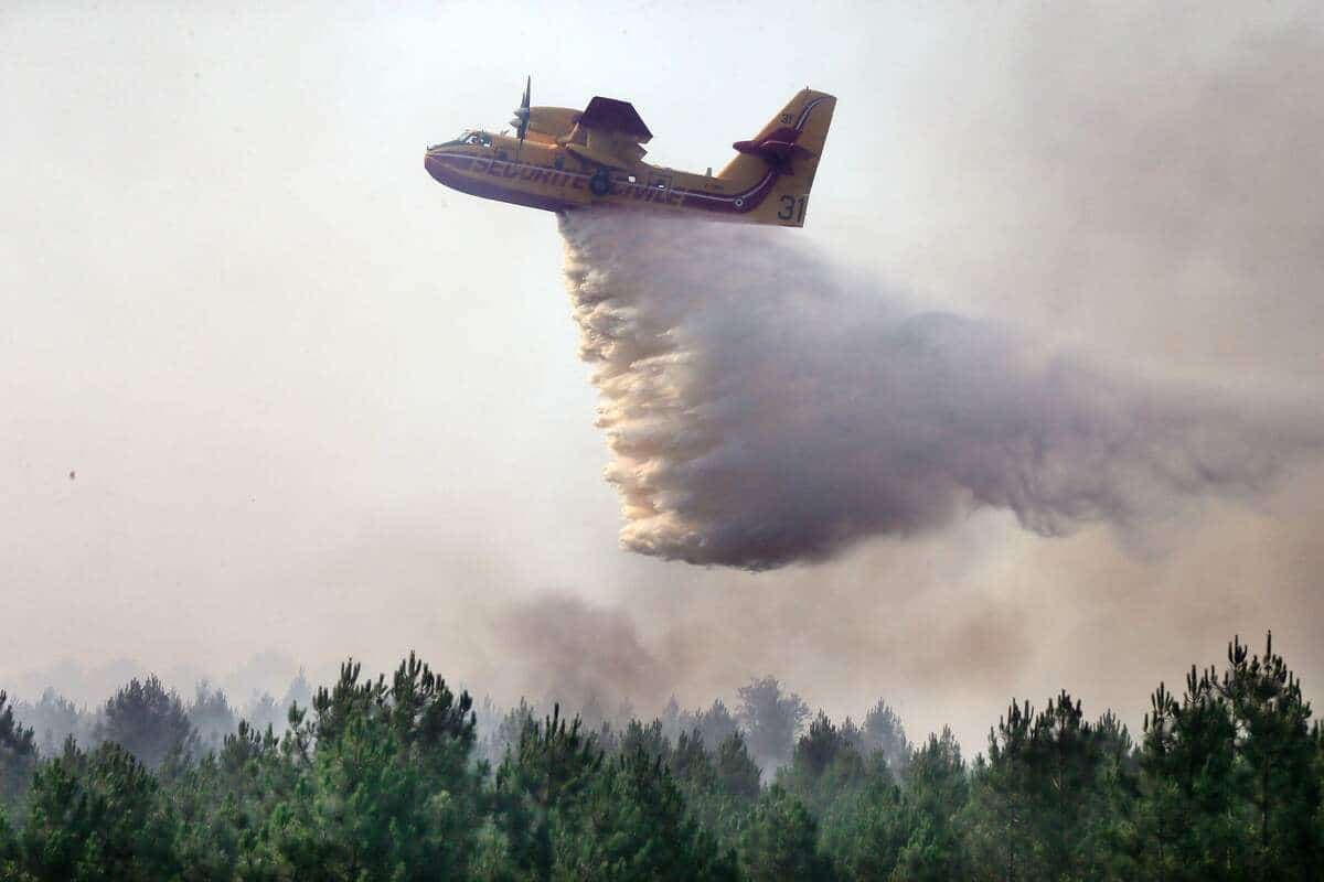 AFP
