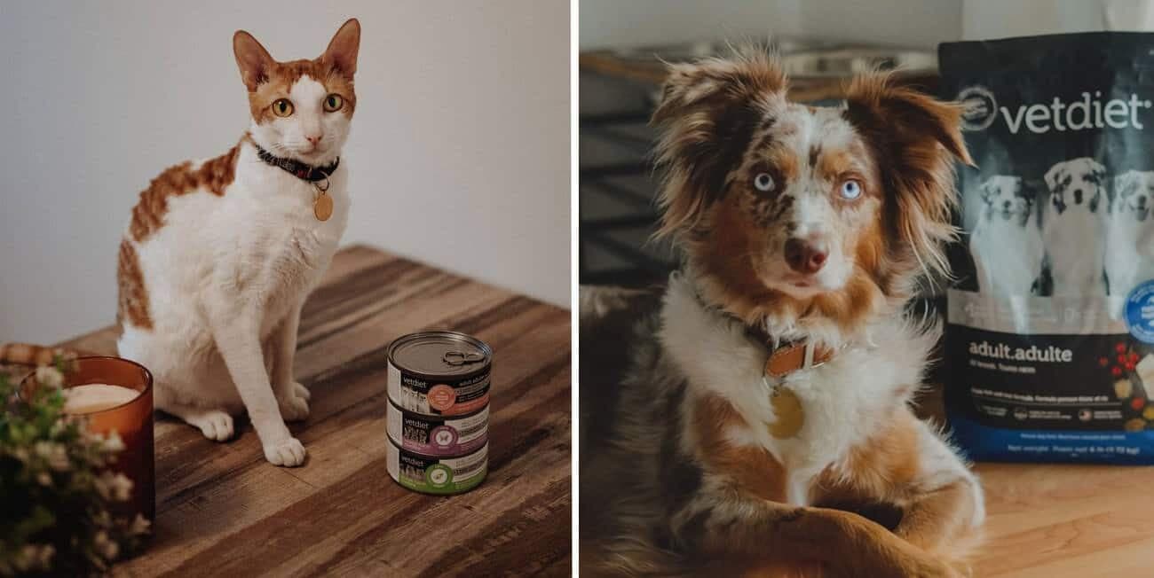 Courtoisie: VetDiet