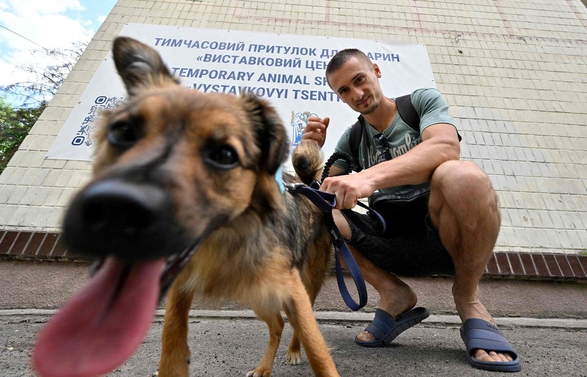 AFP