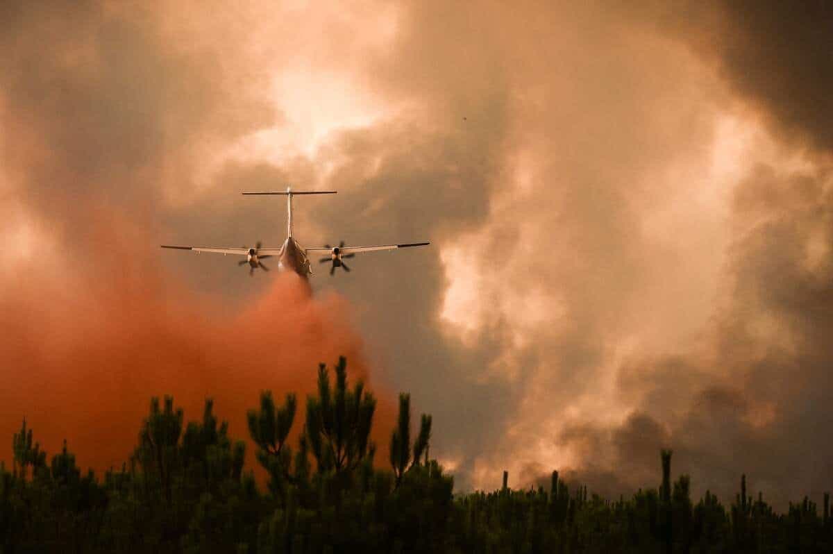 AFP
