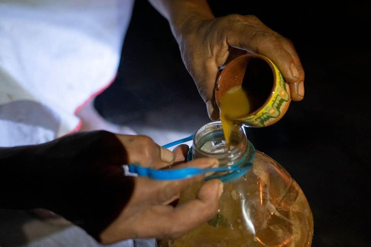 De l'ayahuasca est versé dans une bouteille lors d'une cérémonie de consommation à Lagartococha, dans une région amazonienne du Pérou, le 11 janvier 2023.
