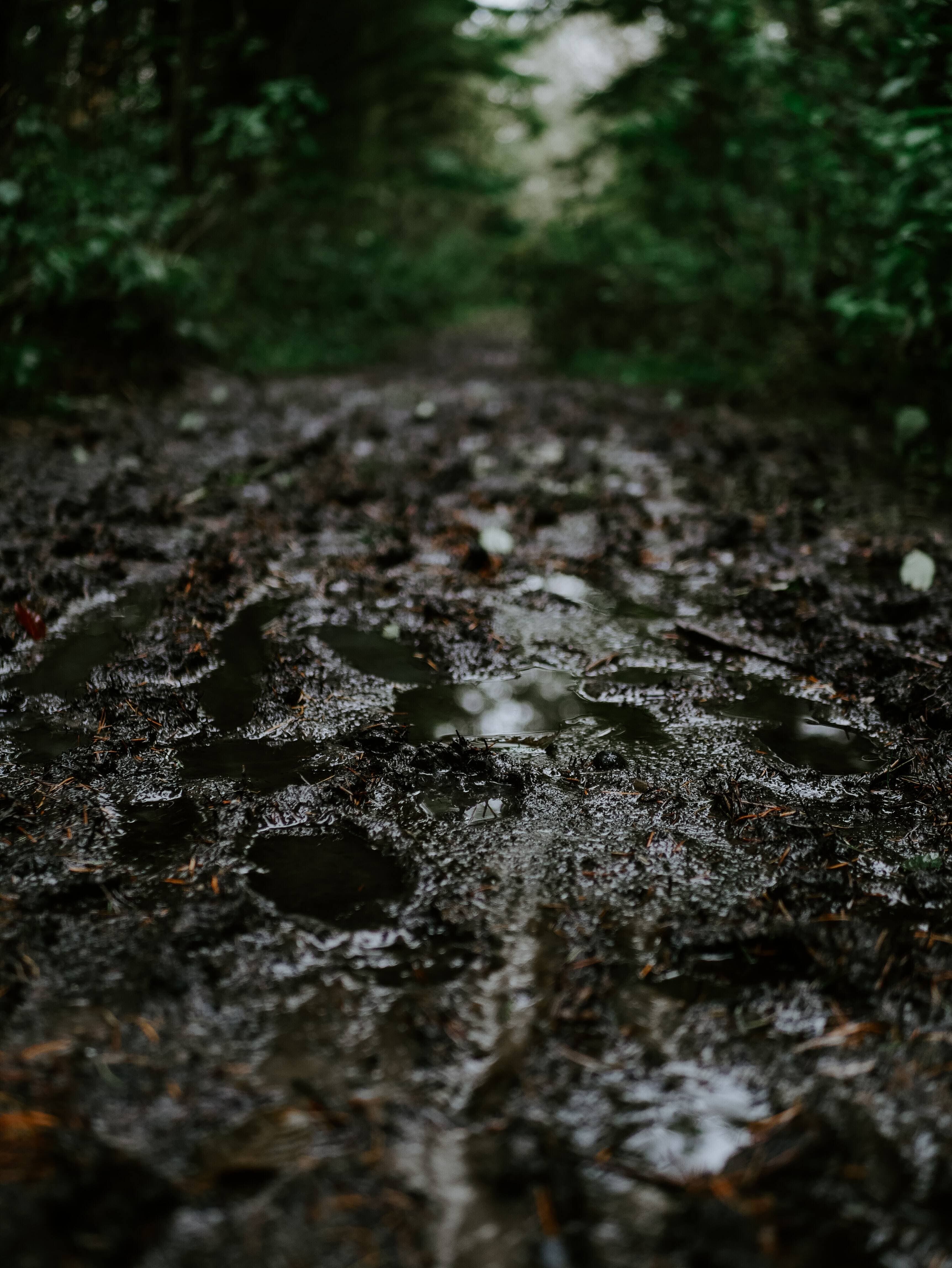 Unsplash