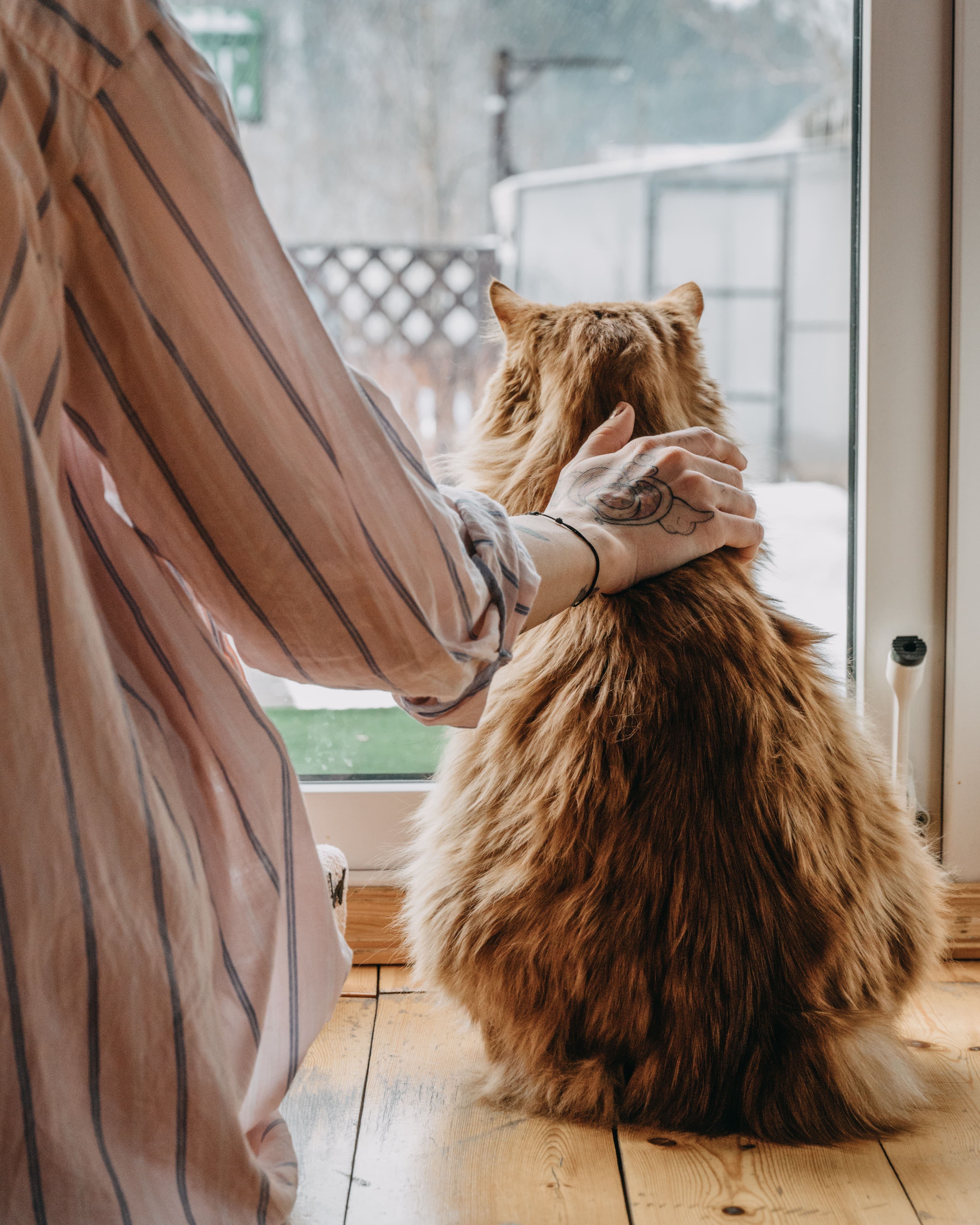 Pexels Dmitriy Ganin