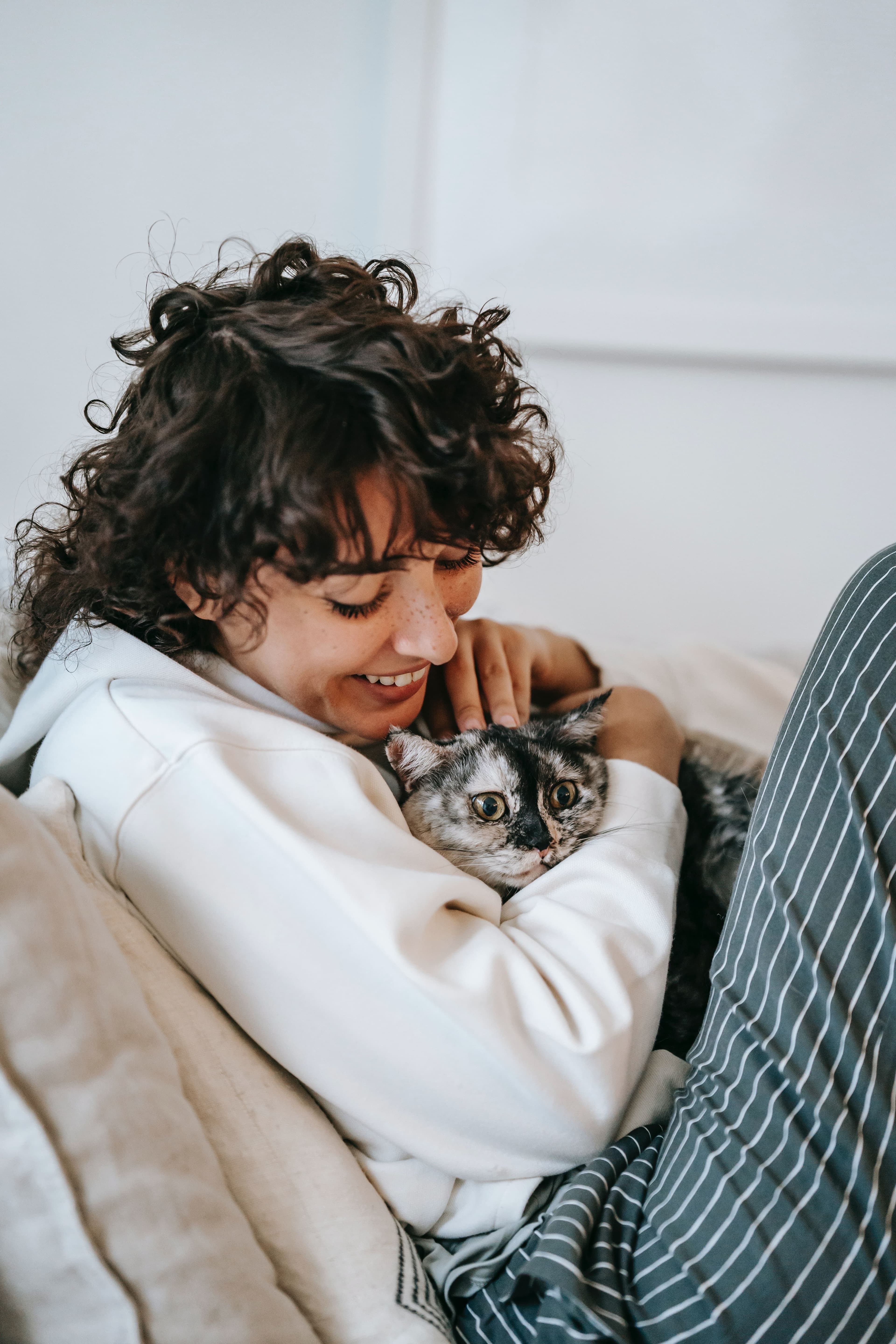 Pexels Sam Lion