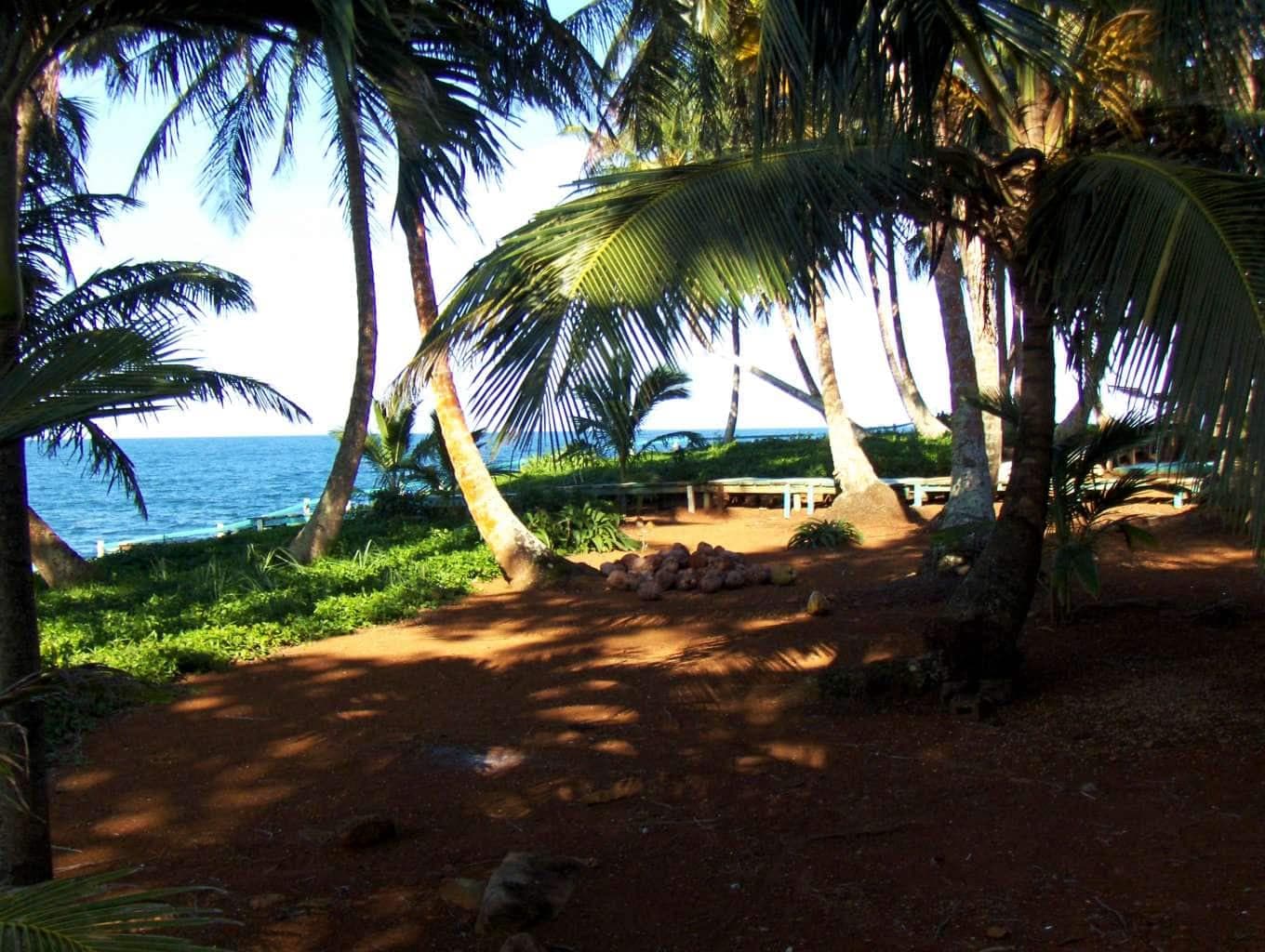 Private Island Inc.