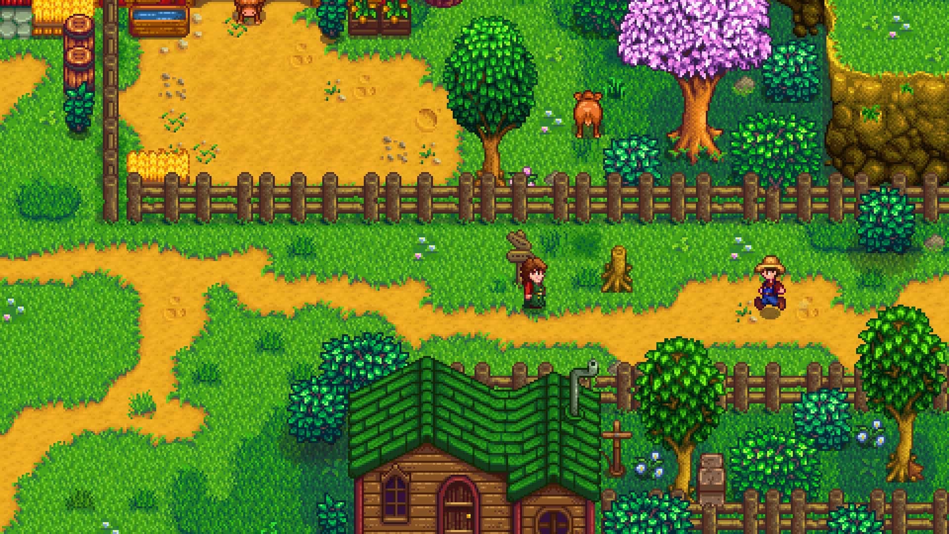 Image courtoisie ConcernedApe