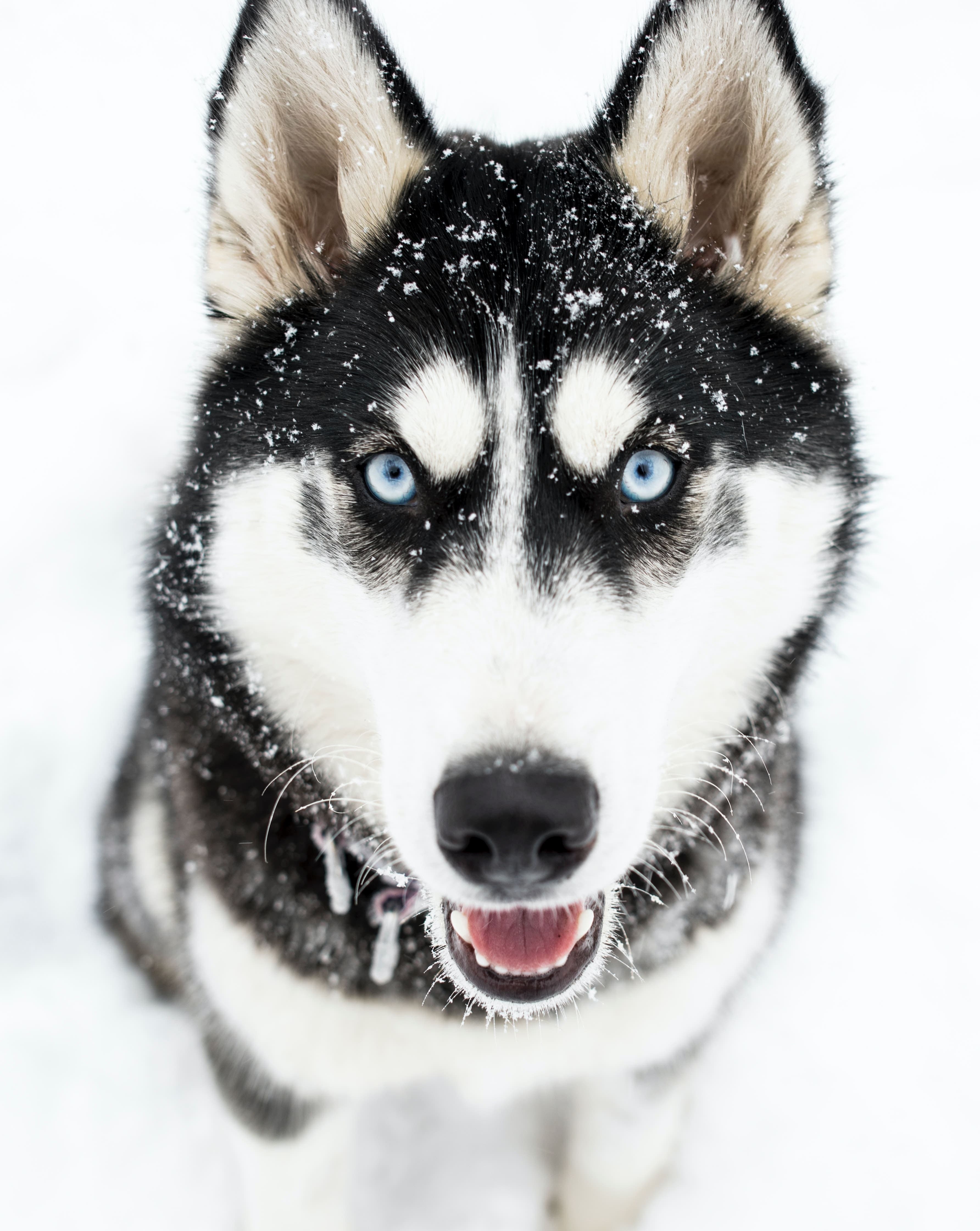 Unsplash Stephanie Cantu