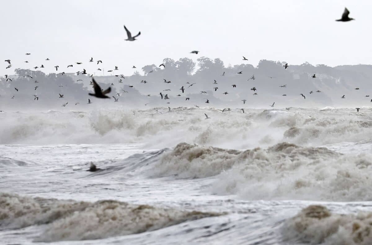 Getty Images via AFP